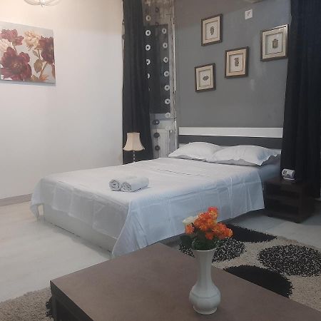 Apartament Studio Calea Victoriei Bukareszt Zewnętrze zdjęcie