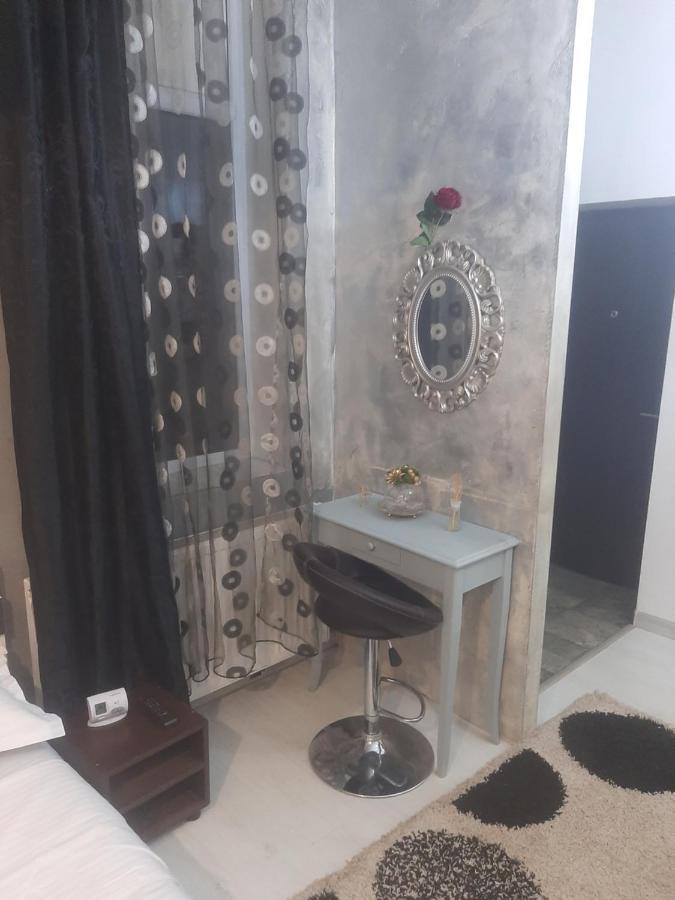 Apartament Studio Calea Victoriei Bukareszt Zewnętrze zdjęcie